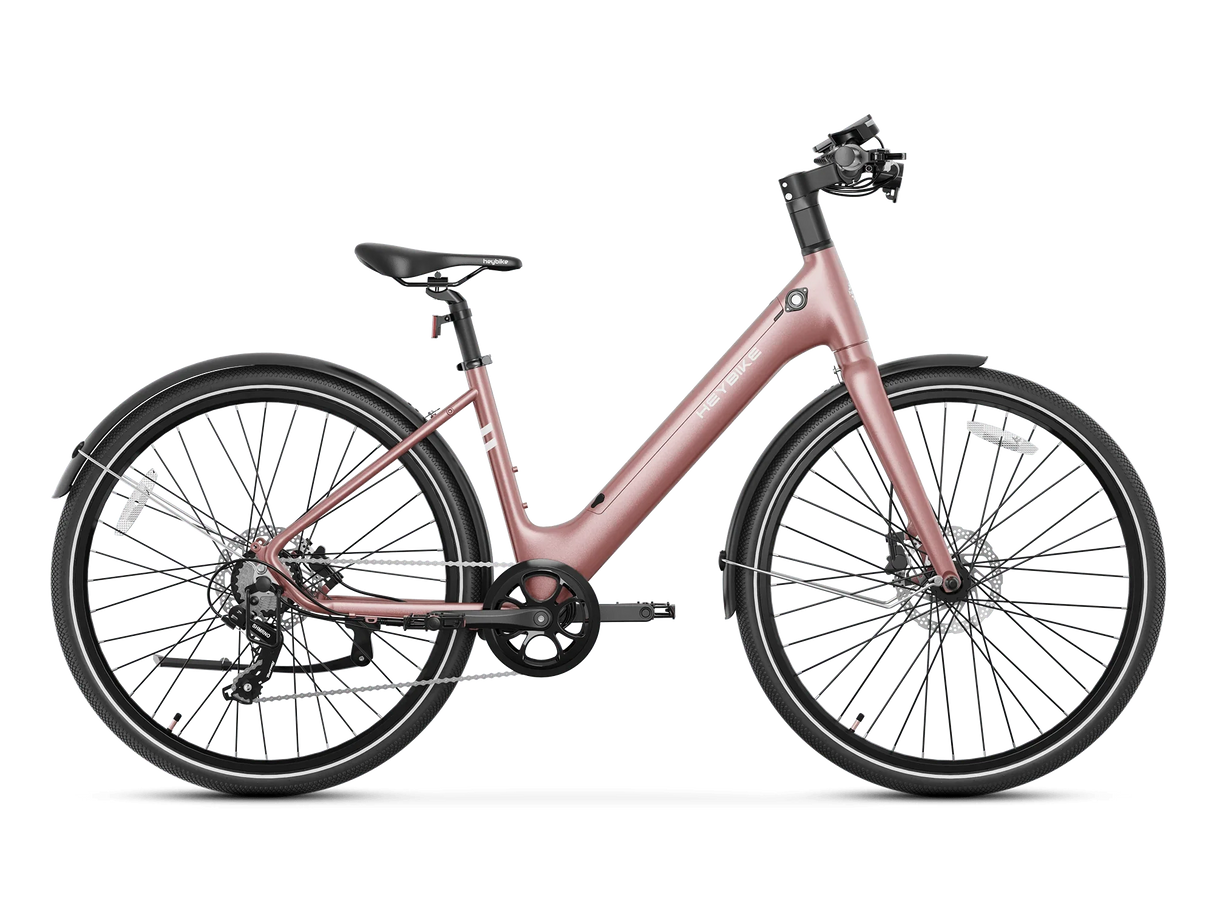Heybike EC 1-ST Pedelec Electric Bike