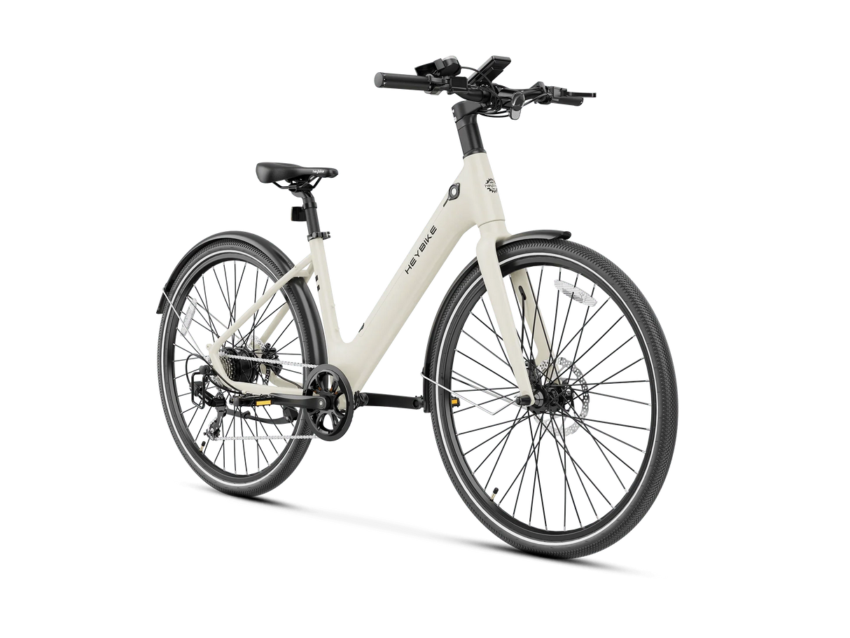 Heybike EC 1-ST Pedelec Electric Bike