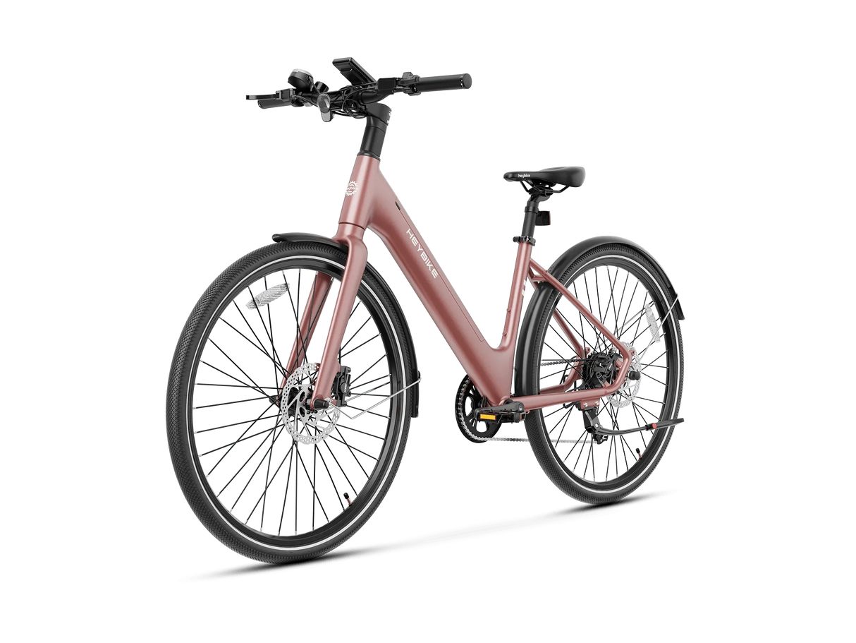 Heybike EC 1-ST Pedelec Electric Bike