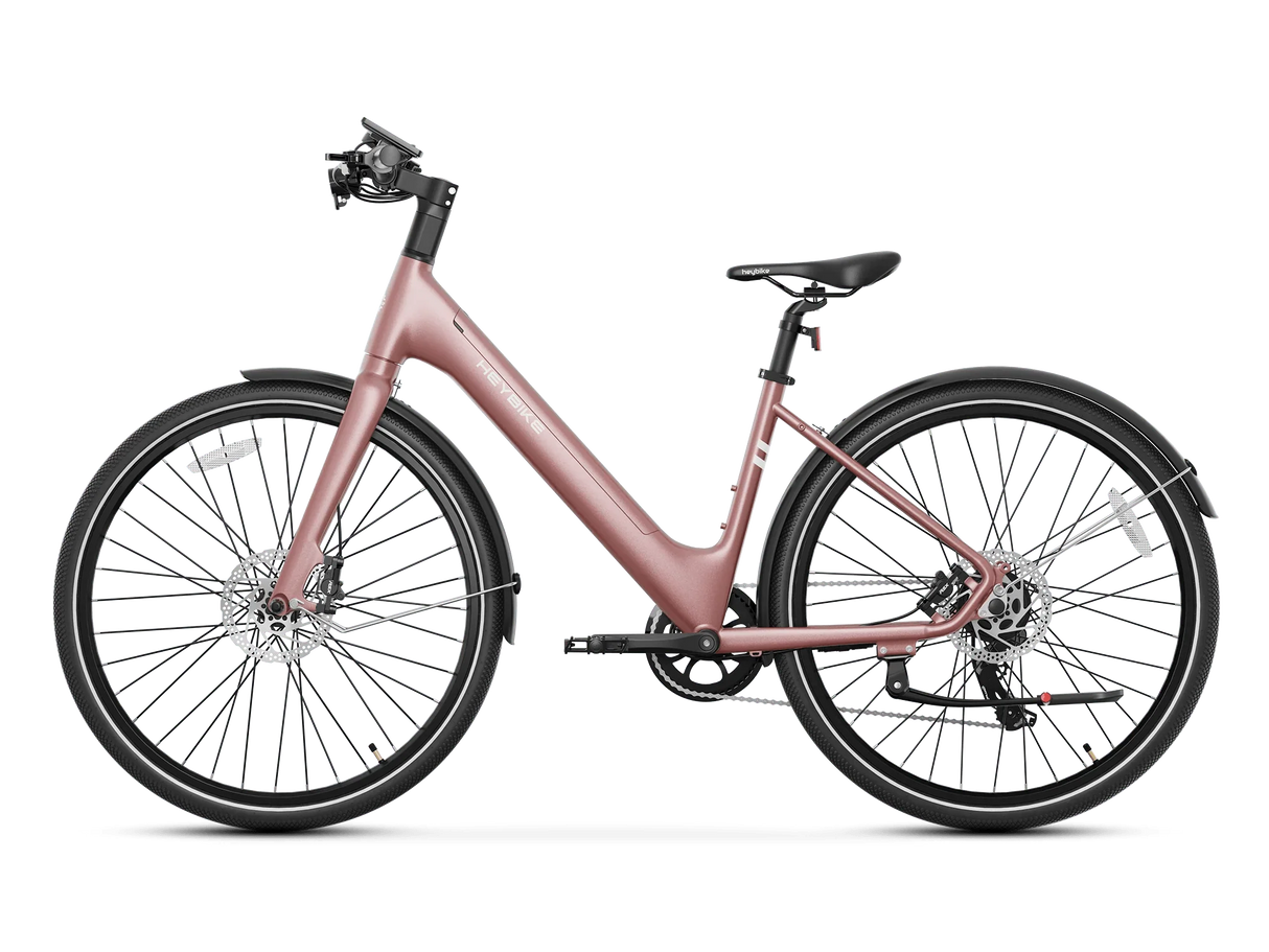 Heybike EC 1-ST Pedelec Electric Bike