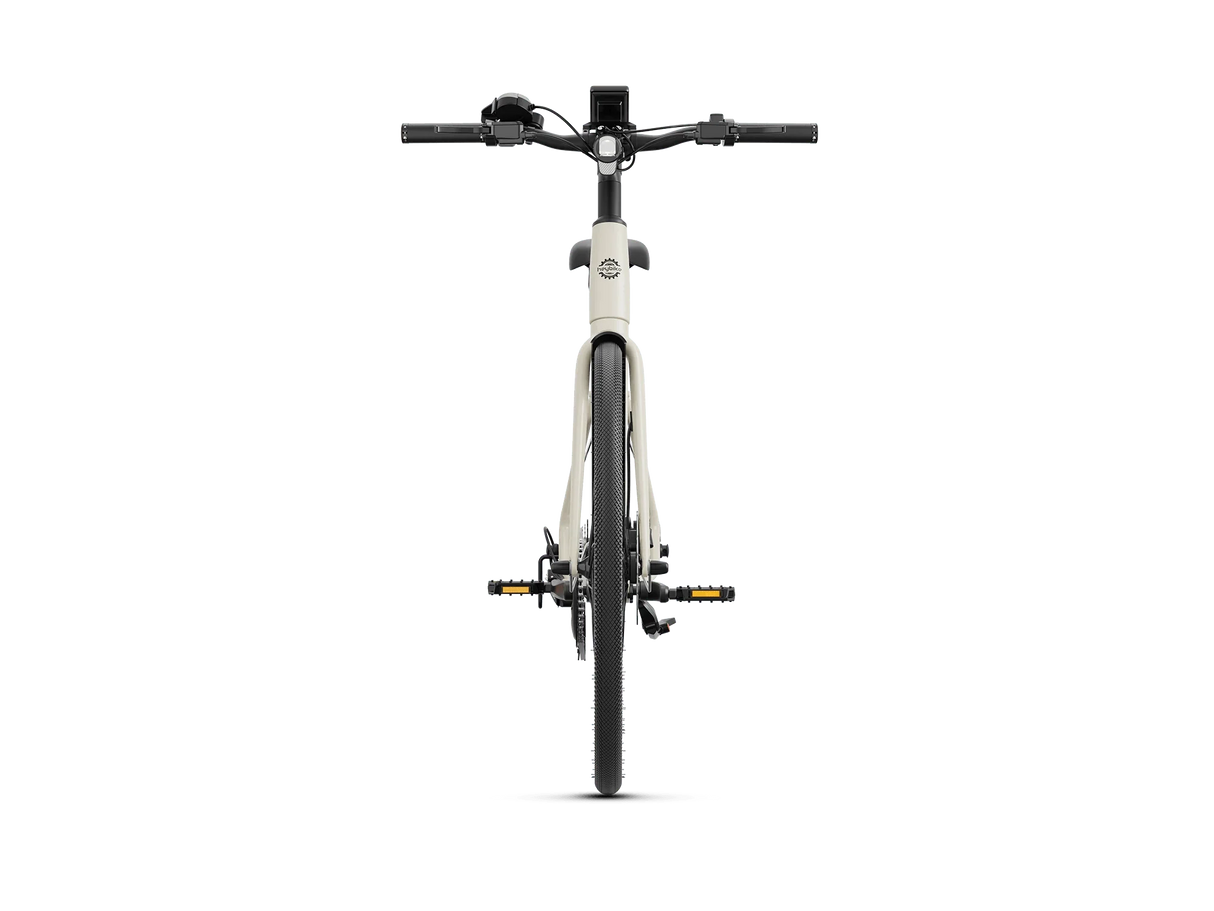 Heybike EC 1-ST Pedelec Electric Bike