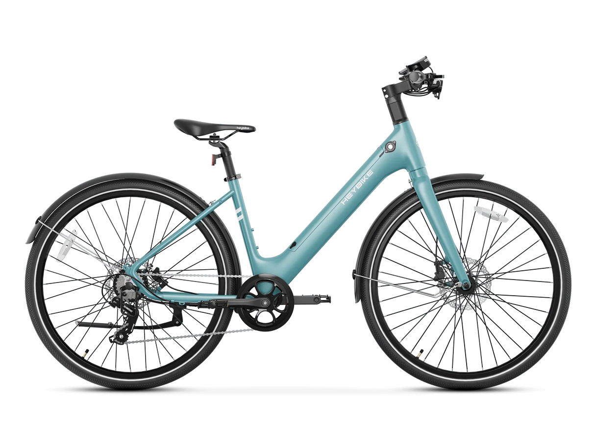 Heybike EC 1-ST Pedelec Electric Bike