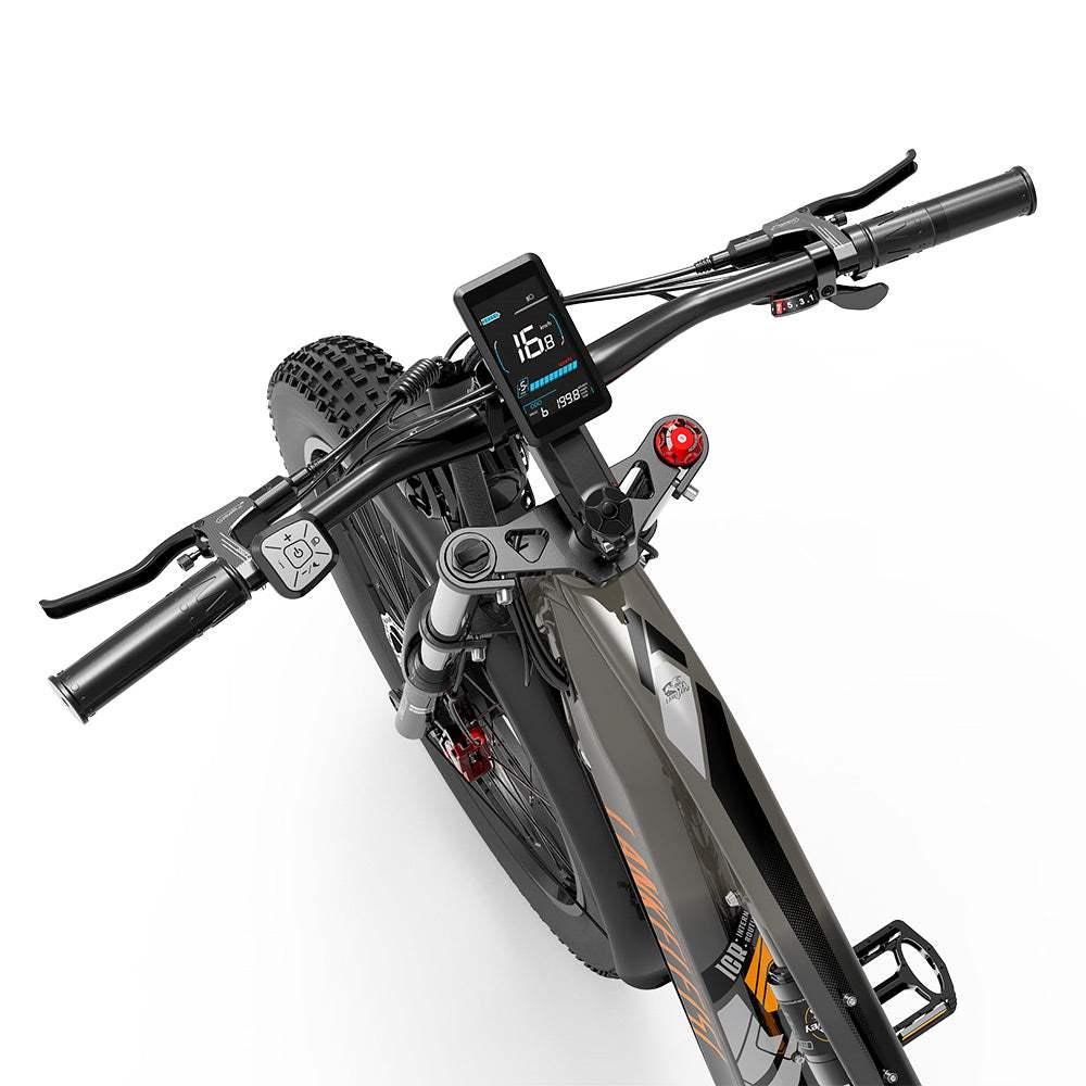 Lankeleisi MG800 Max Dual Motor Cargo EBike