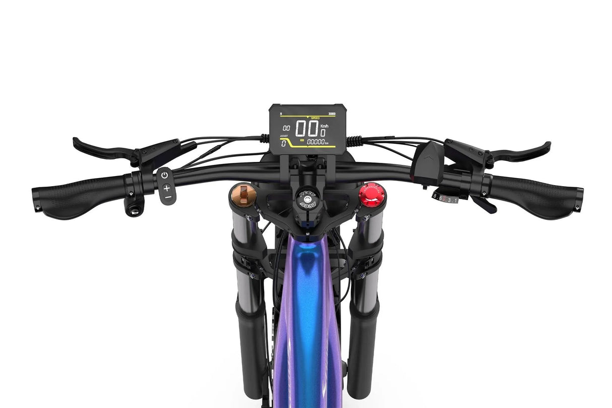 DUOTTS E26 Upgraded Electric Bike