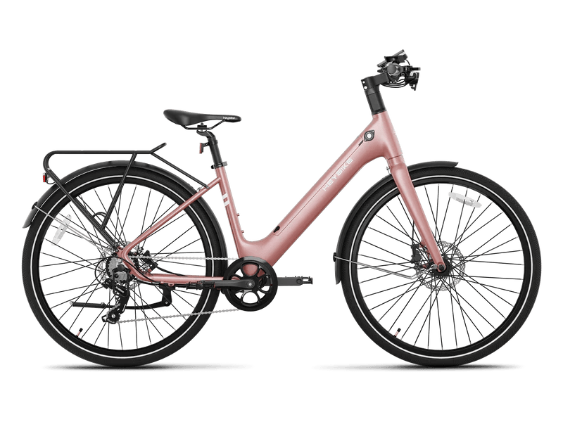 Heybike EC 1-ST Pedelec Electric Bike
