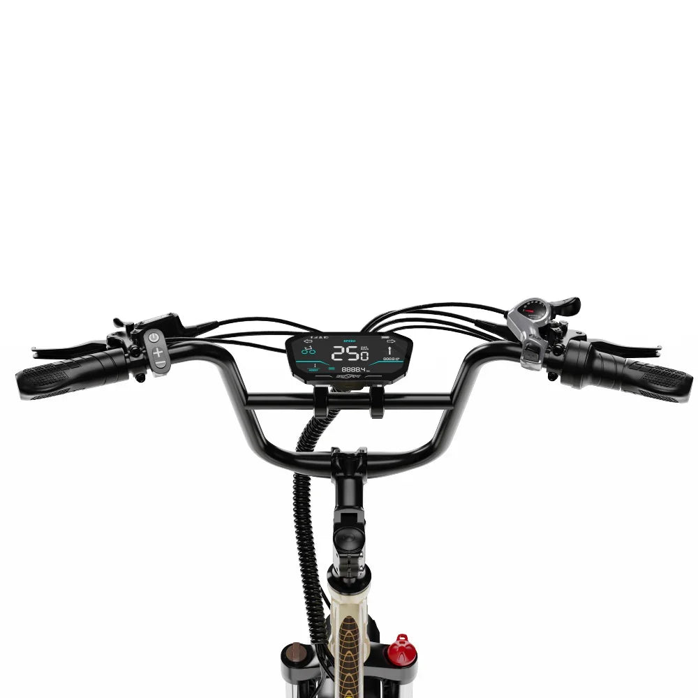 OneSport OT30 Pro Electric Cargo Tricycle