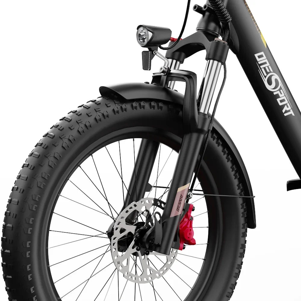 OneSport OT30 Pro Electric Cargo Tricycle