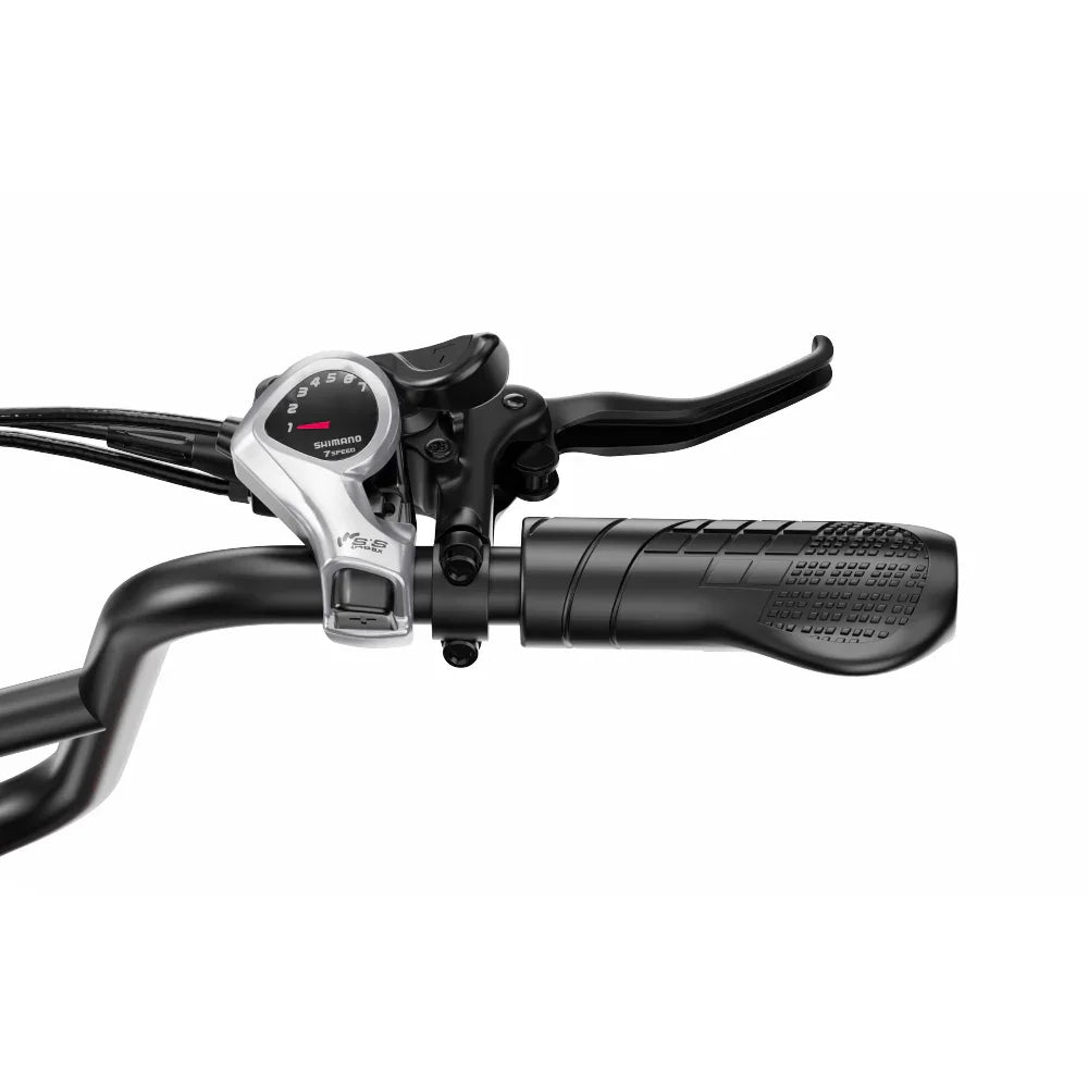 OneSport OT30 Pro Electric Cargo Tricycle