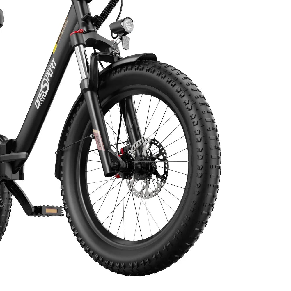 OneSport OT30 Pro Electric Cargo Tricycle
