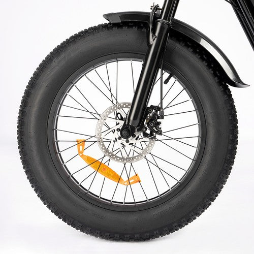 Ridstar Q20 Mini Electric Bike