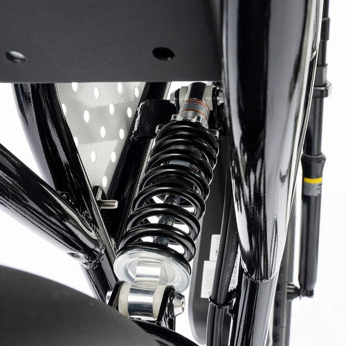 Ridstar Q20 Mini Electric Bike