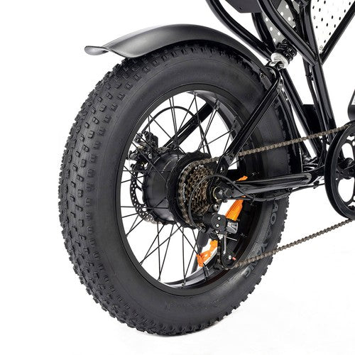 Ridstar Q20 Mini Electric Bike