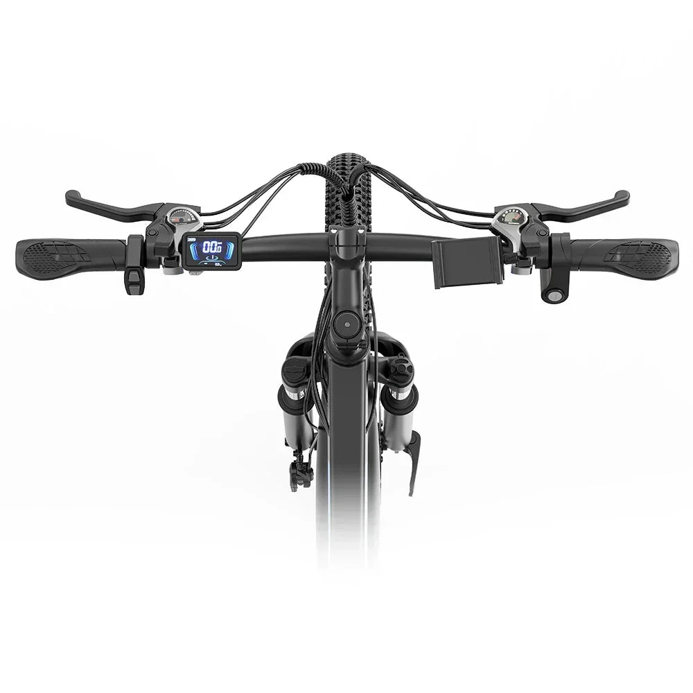 Ridstar S29 Pro Electric Mountain Bike - Preorder