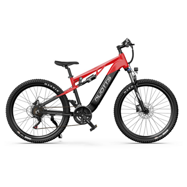 DUOTTS E29 Electric Bike