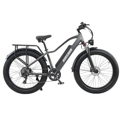 BURCHDA RX20 All terrain Fat Tire Electric Bike