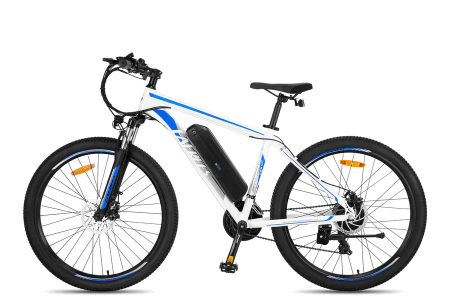 Fafrees F28 MT Mountain Electric Bike