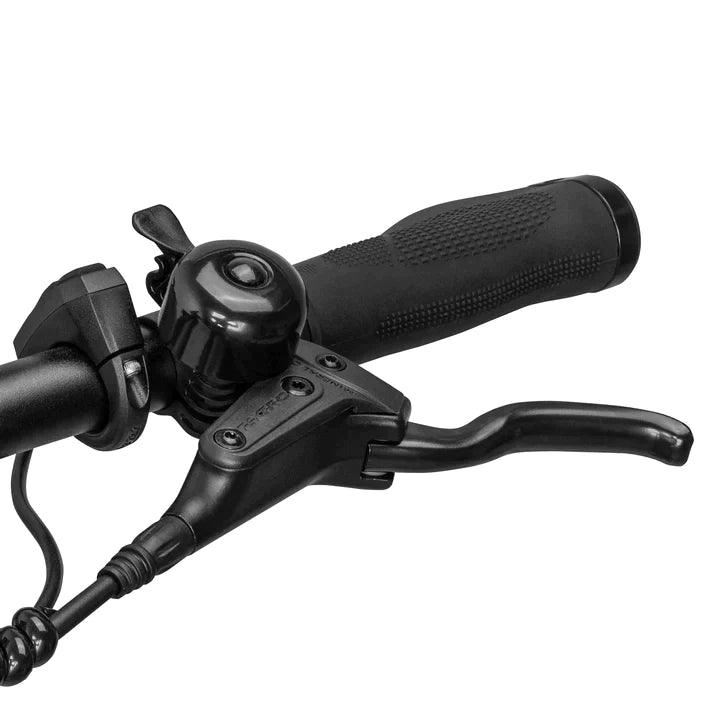 Fafrees FM8 Electric Bike