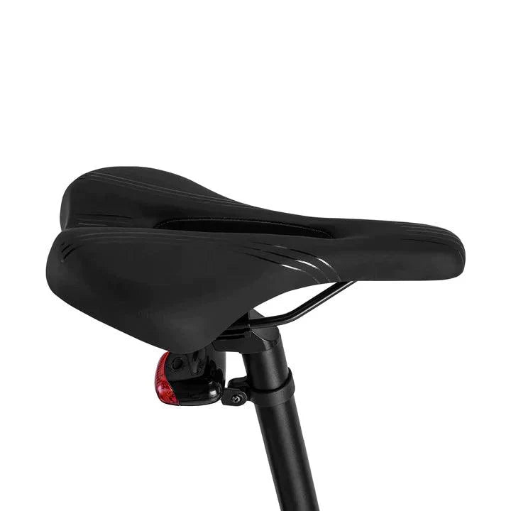 Fafrees FM8 Electric Bike