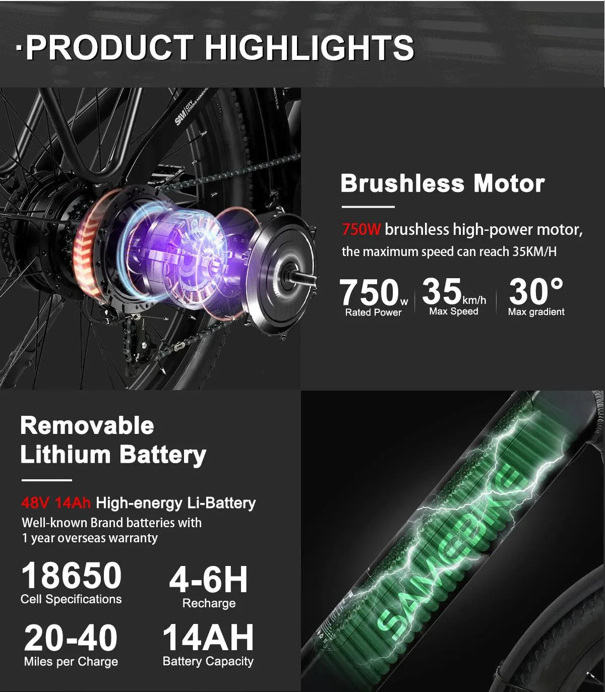 SAMEBIKE RS-A01 Electric Bike