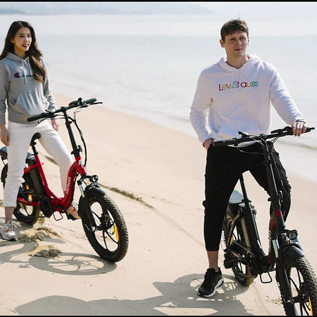 FAFREES F20 City Electric Folding Bike