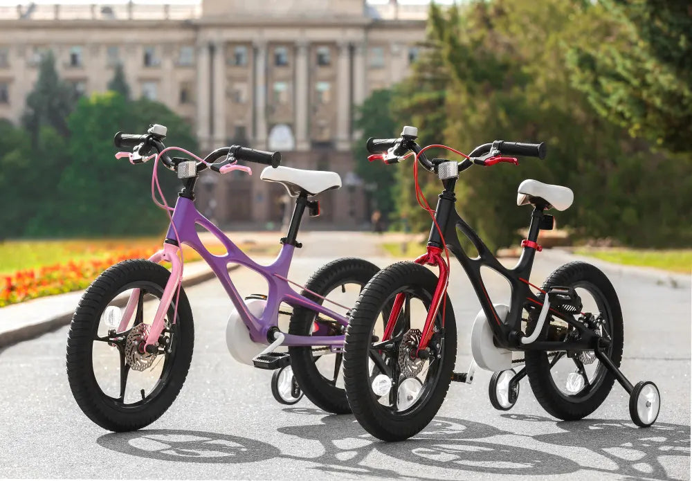 Electric Bikes