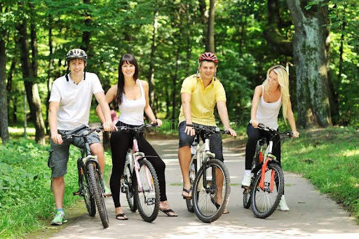 Explore the Top Bicycle Types for Everyday Riding – Zingy