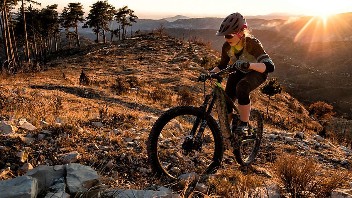 Best Electric Mountain Bikes 2024 Top Picks Reviewed Zingy