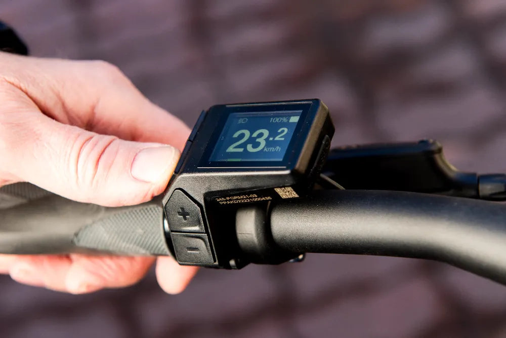 E-Bike Speed Impacts