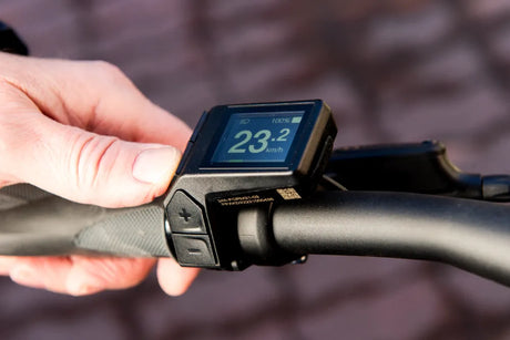 E-Bike Speed Impacts