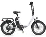 DYU C9 Folding Electric Bike