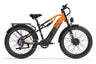 Lankeleisi MG800 Max Dual Motor Cargo EBike