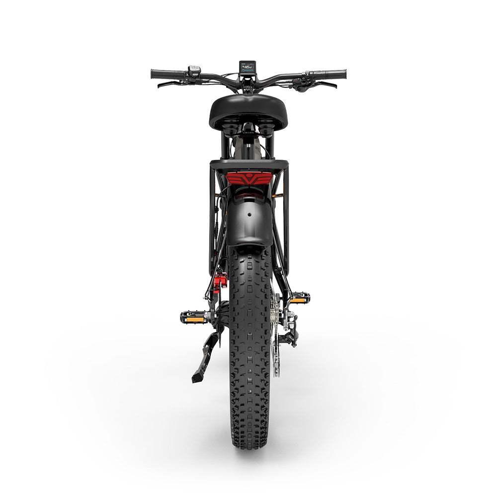 Lankeleisi MG800 Max Dual Motor Cargo EBike