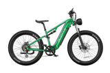 DUOTTS E26 Upgraded Electric Bike