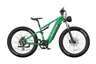 DUOTTS E26 Upgraded Electric Bike