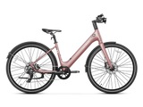 Heybike EC 1-ST Pedelec Electric Bike