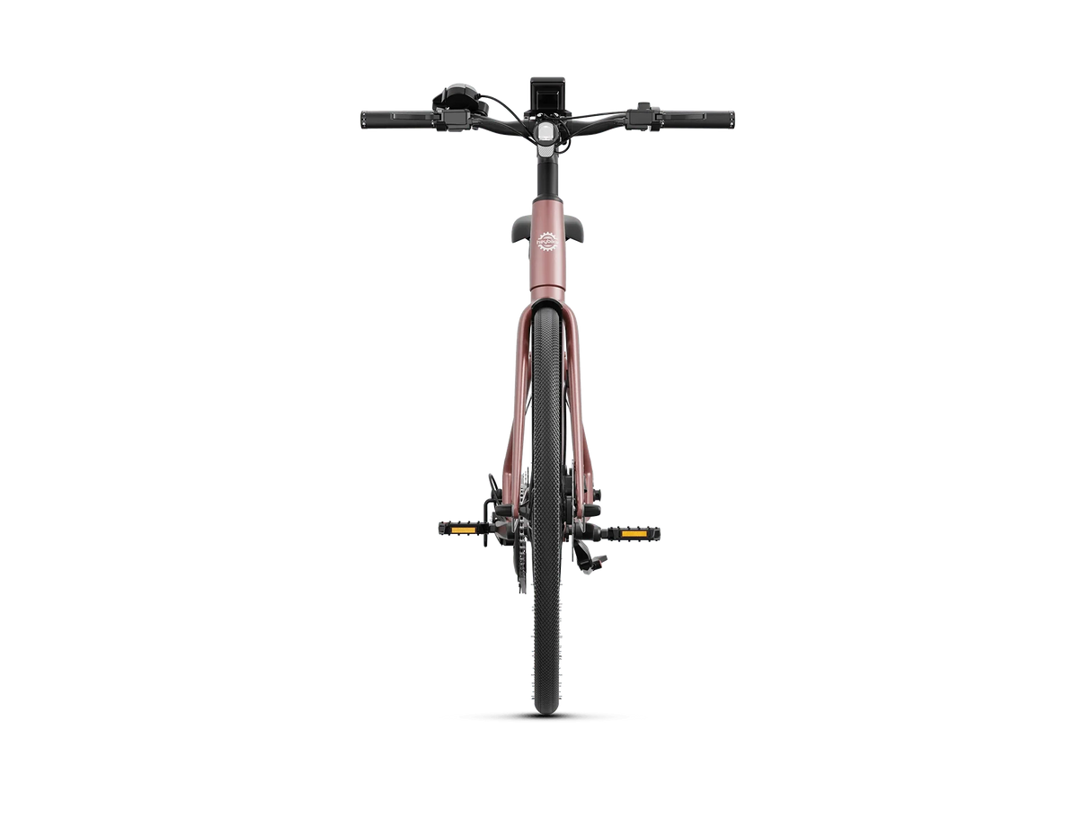 Heybike EC 1-ST Pedelec Electric Bike