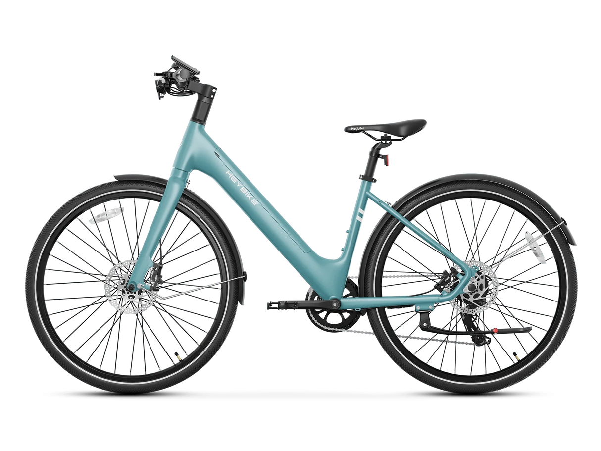 Heybike EC 1-ST Pedelec Electric Bike