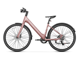 Heybike EC 1-ST Pedelec Electric Bike