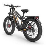 Lankeleisi MG800 Max Dual Motor Cargo EBike