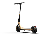 Hikerboy Curtis Dual Electric Scooter