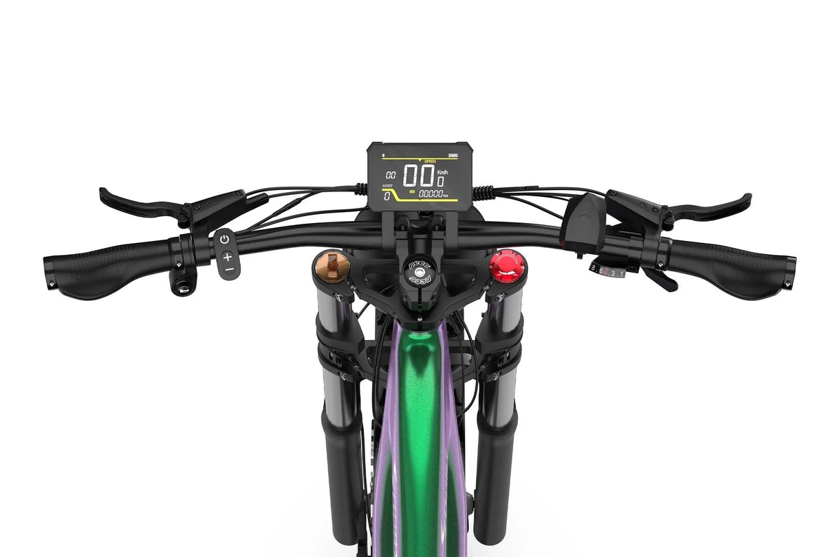 DUOTTS E26 Upgraded Electric Bike