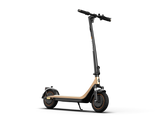 Hikerboy Curtis Dual Electric Scooter