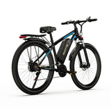 DUOTTS C29 Pro Electric Mountain Bike