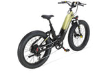 Cyrusher Roam Step-Thru Electric Bike
