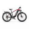 DUOTTS F26 Lite Electric Bike