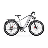 DUOTTS F26 Lite Electric Bike