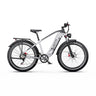 DUOTTS F26 Lite Electric Bike