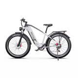 DUOTTS F26 Lite Electric Bike