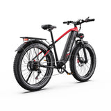 DUOTTS F26 Lite Electric Bike