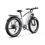 DUOTTS F26 Lite Electric Bike